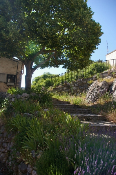 batie 6.jpg