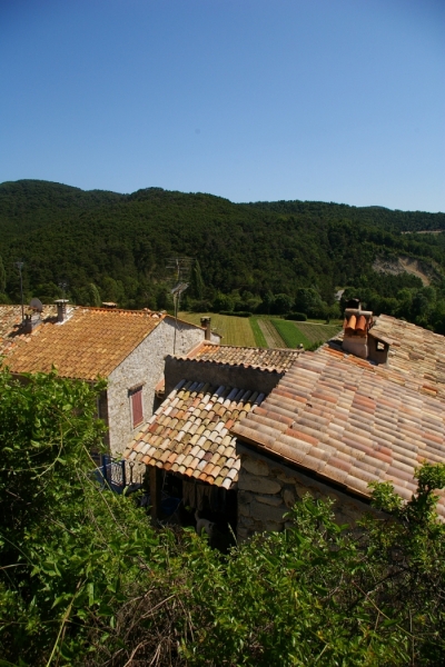batie 7.jpg