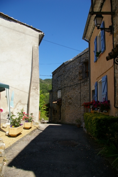 batie 9.jpg