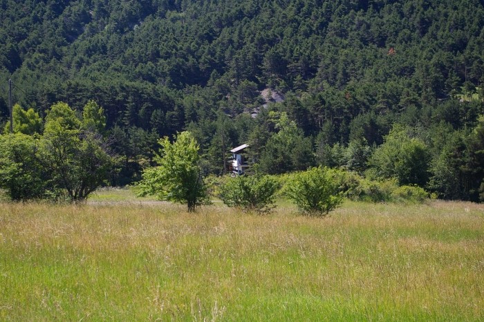 img foux 1.jpg