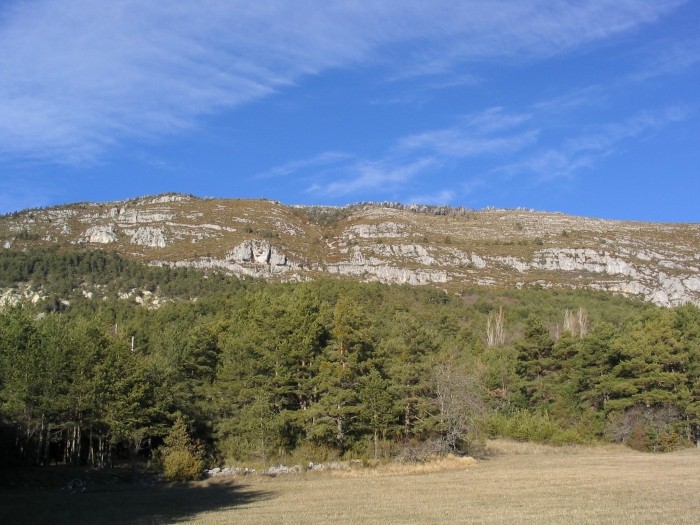 img foux 8.jpg