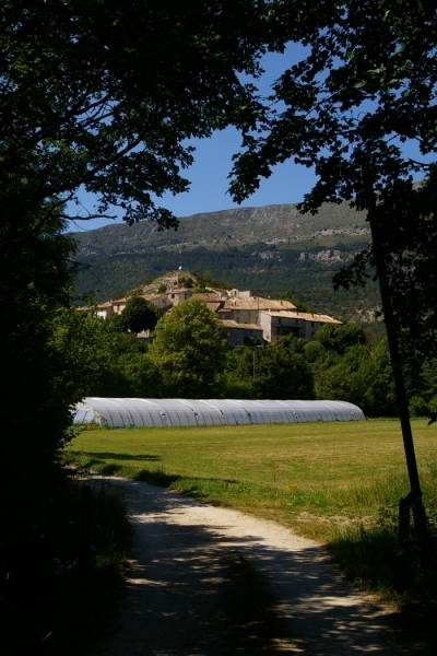 batie 2.jpg