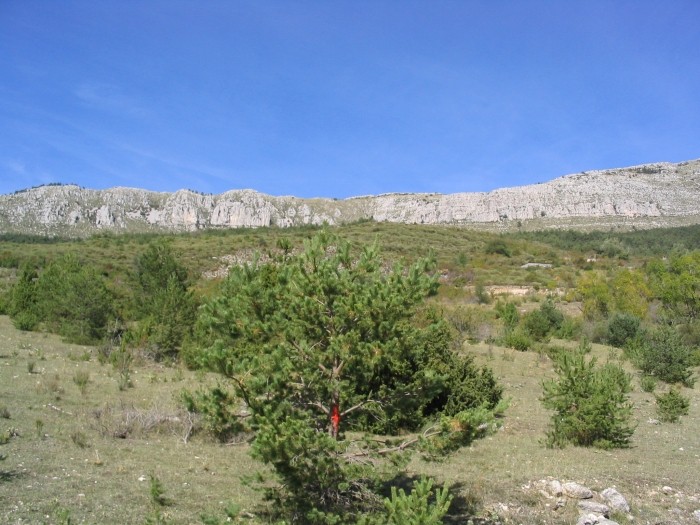 Séguret.jpg