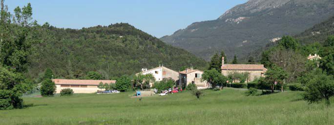 img 3.jpg