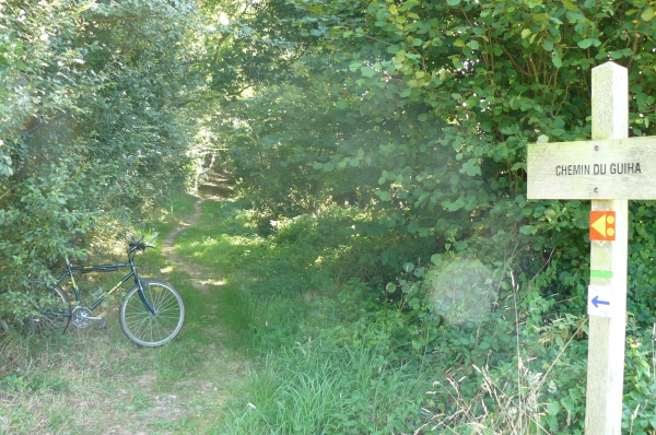 Chemin de randonnée.jpg