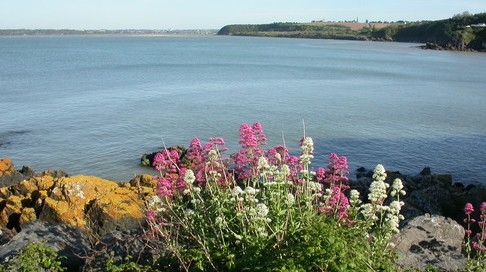 L_anse d_yffiniac.jpg