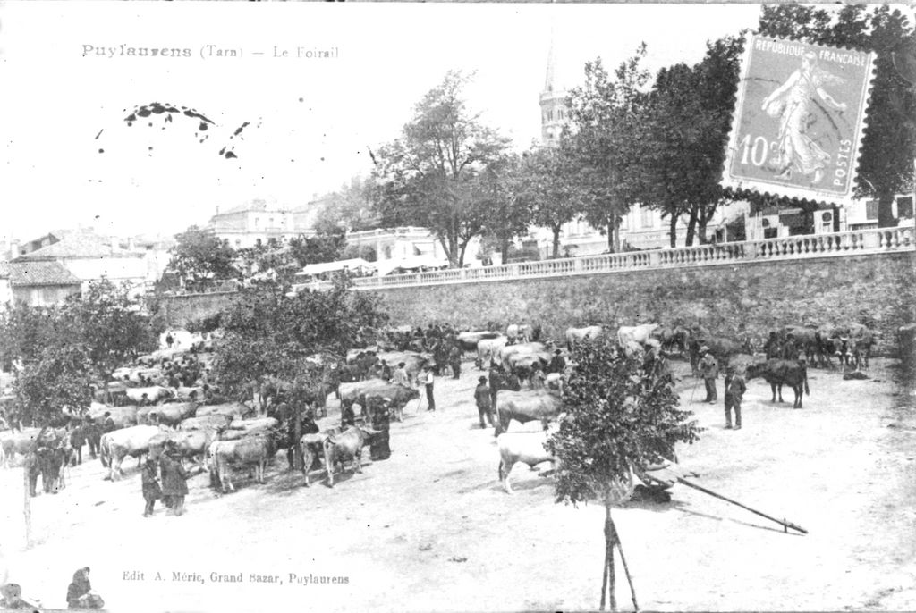 Foirail-marché aux bestiaux _1024x768_.jpg