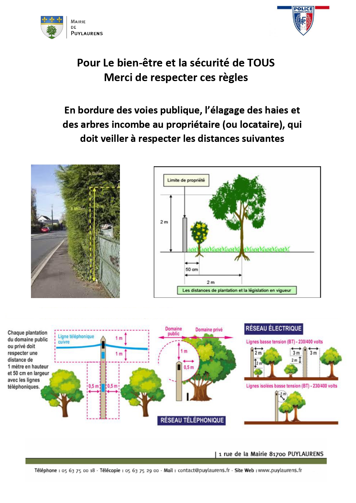 Règles d'élagage des haies et des arbres en bordure des voies publiques