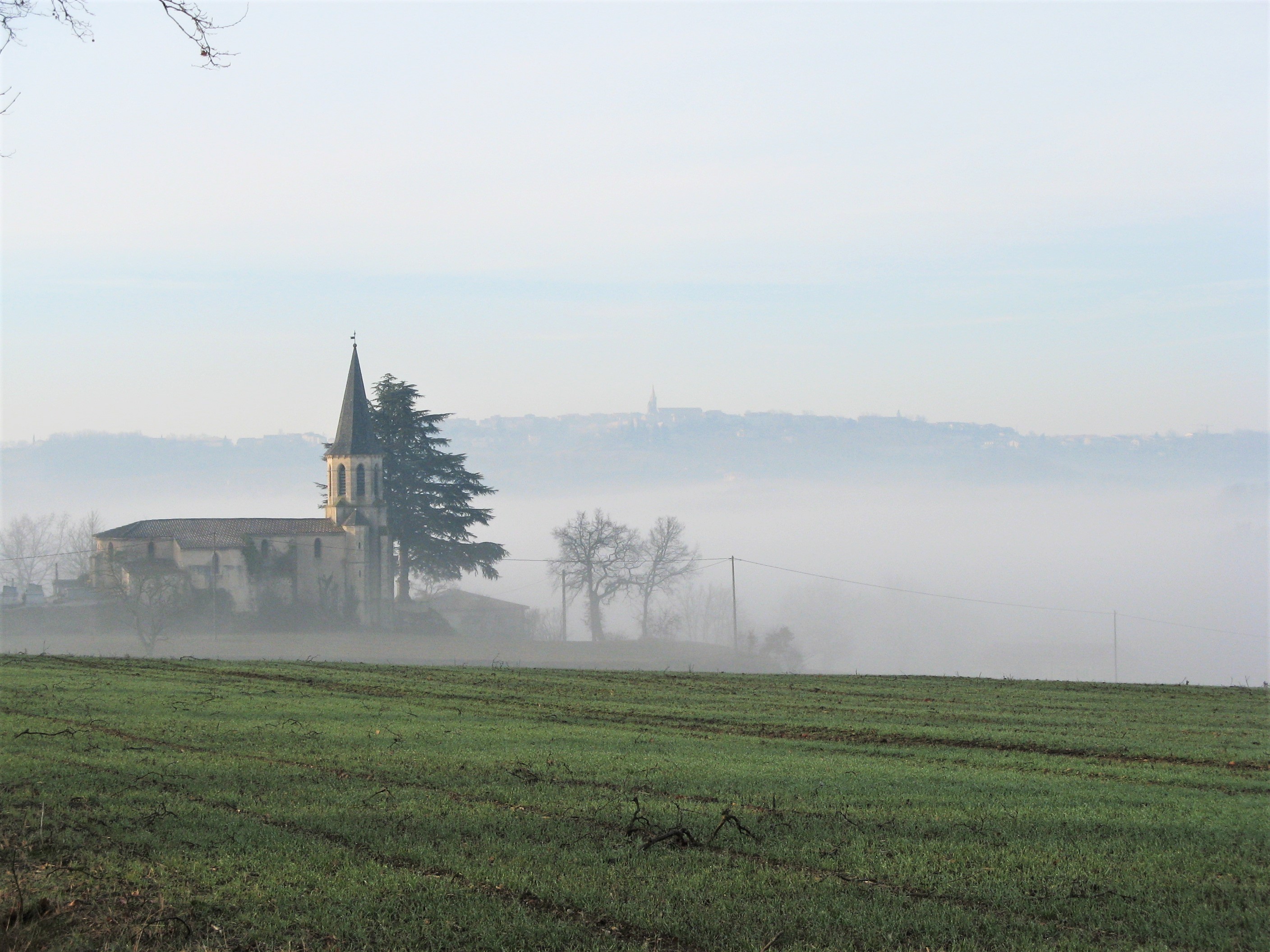 puylaurens campagne.JPG