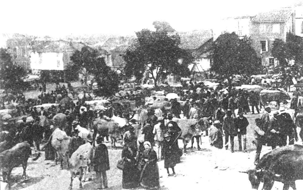 Foire aux bestiaux _1024x768_.jpg