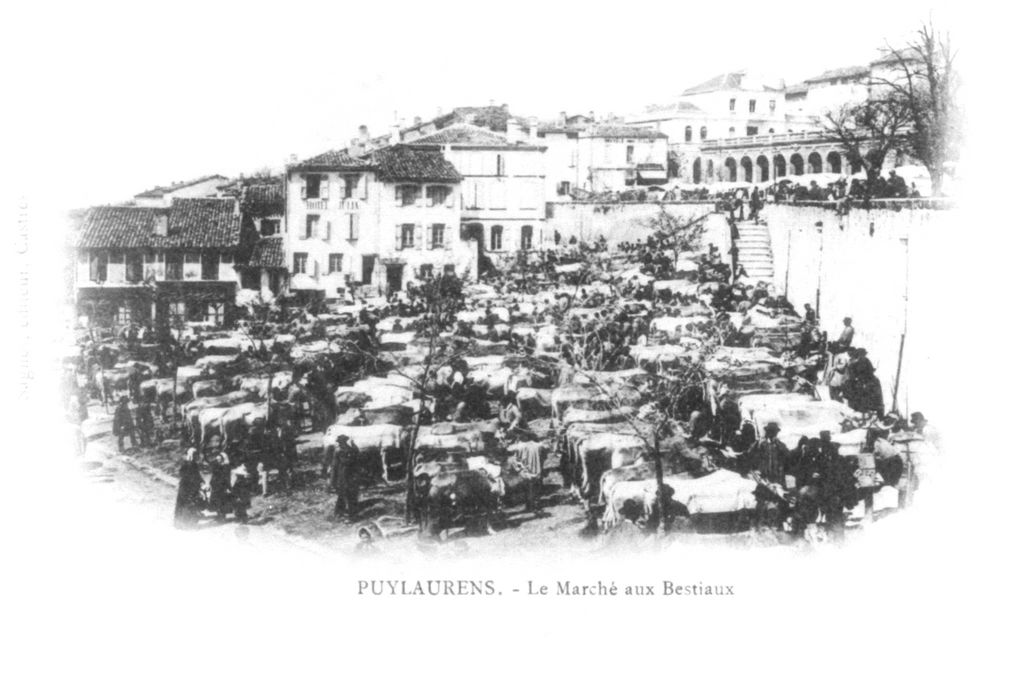 Marché aux bestiaux 2 _1024x768_.jpg