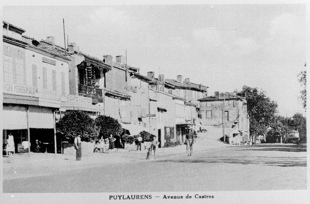 Avenue de Castres _1024x768_.jpg