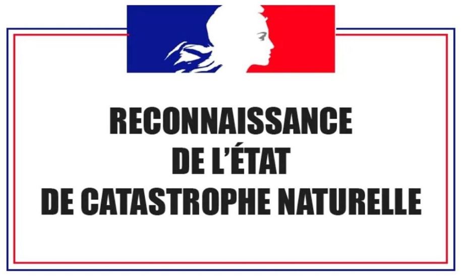 Cat nat.JPG