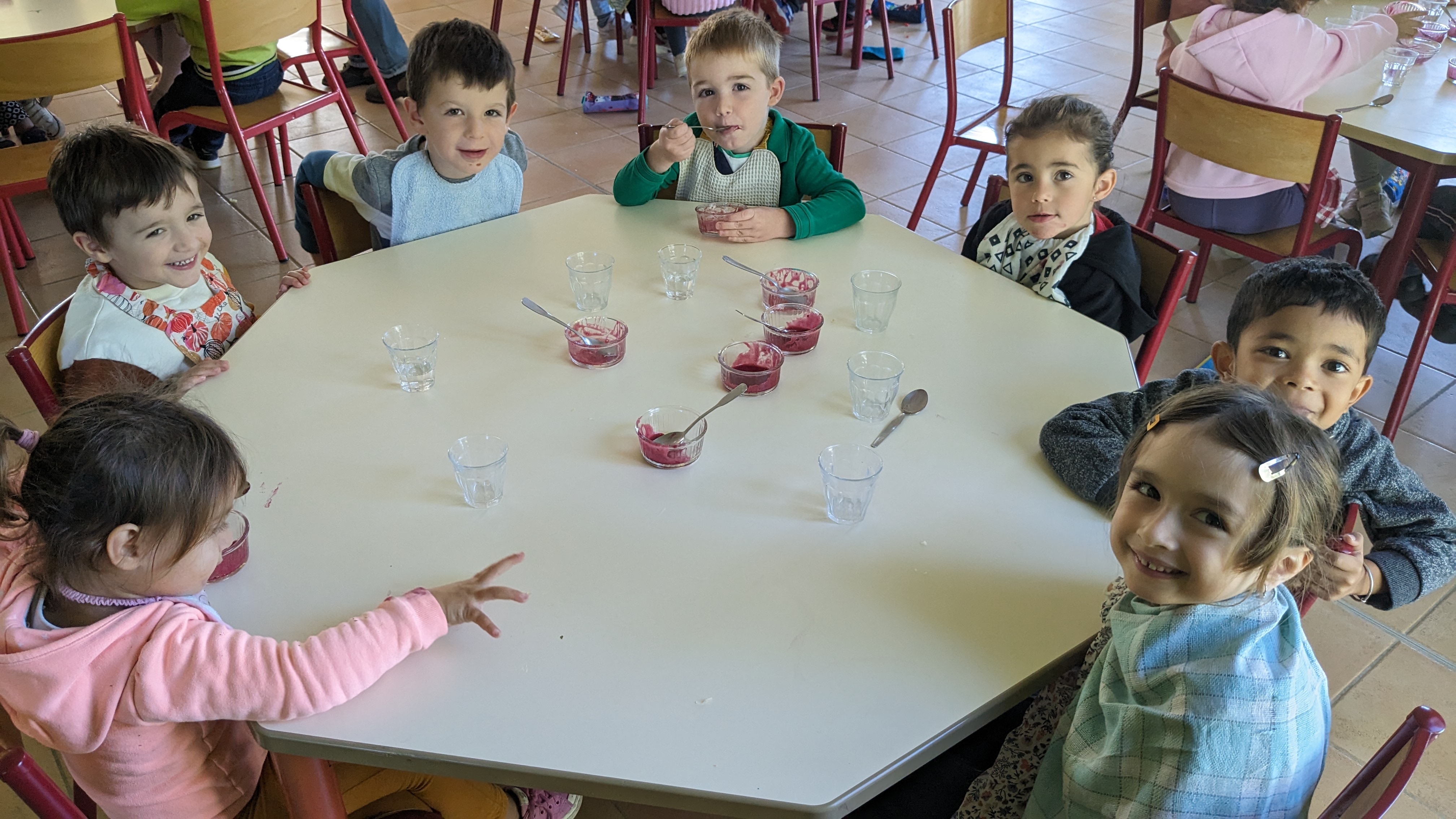 sorbet cassis