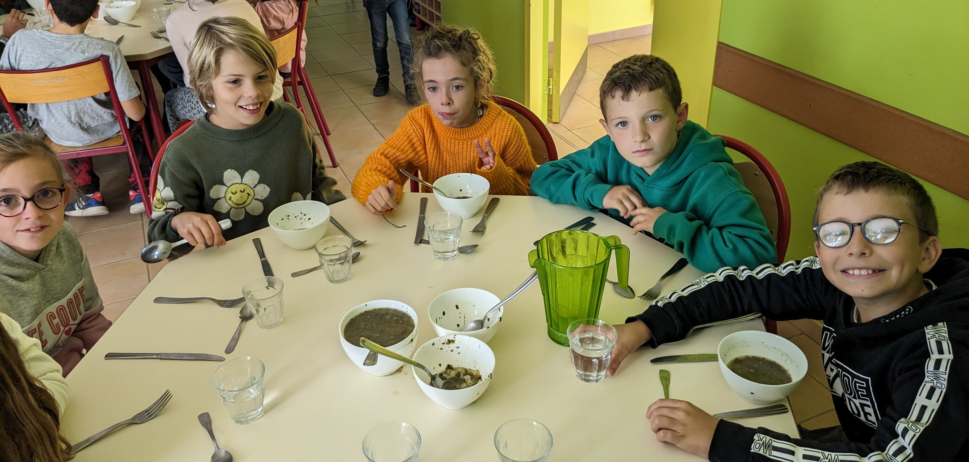 soupe à l'oseille