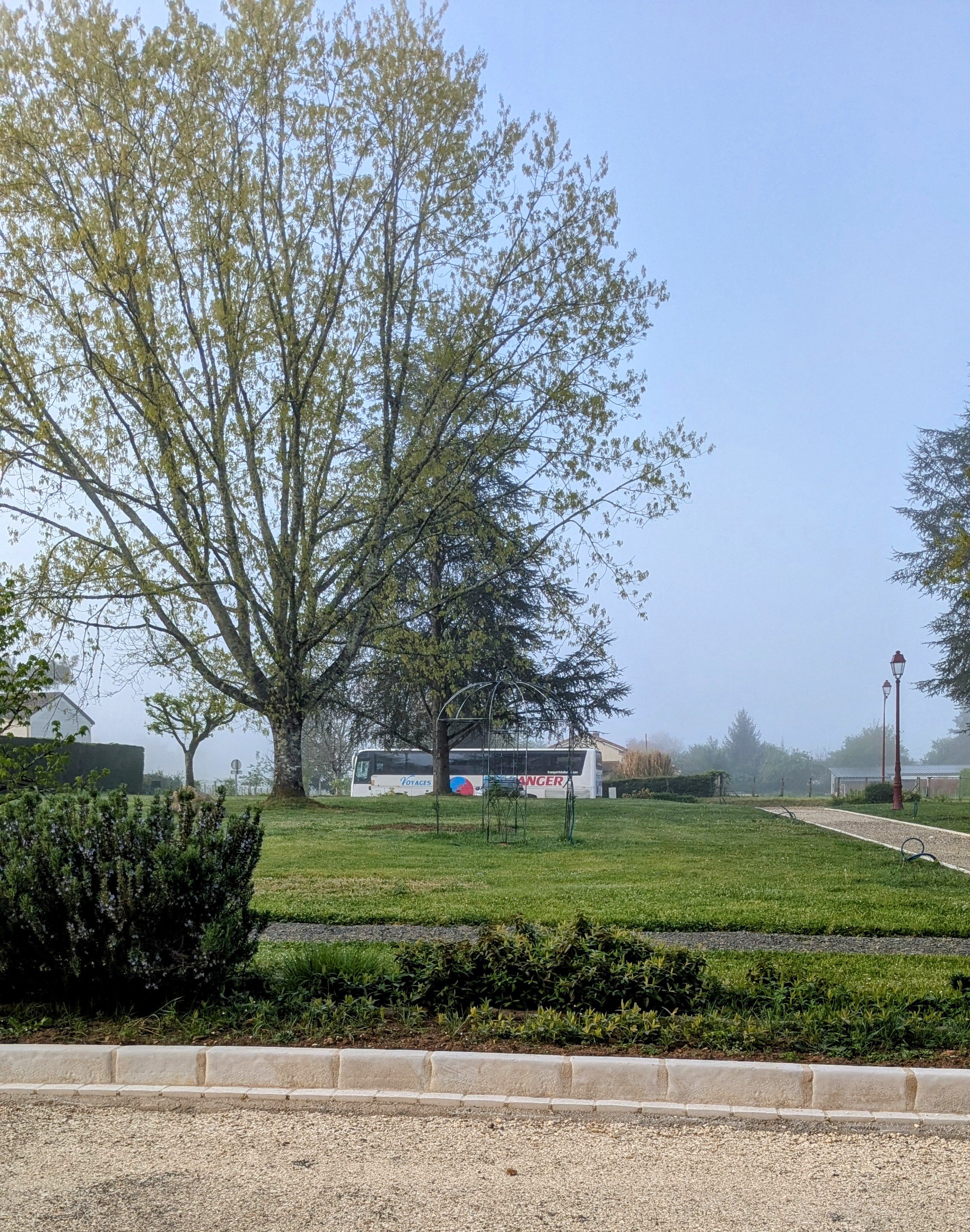 PXL_20250414_063926890.MP~2.jpg