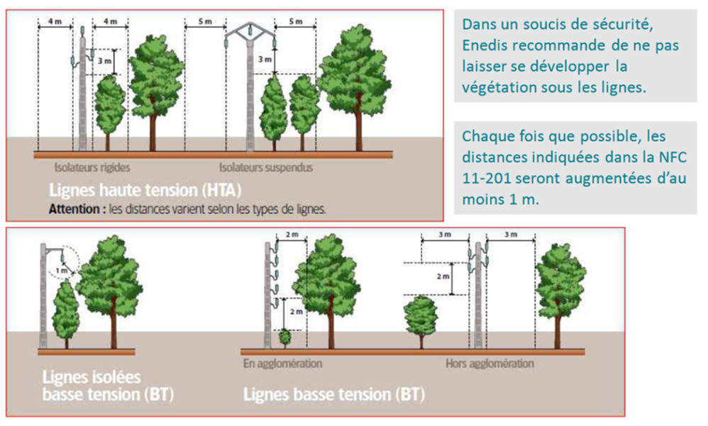 élagage _ fil électrique.png