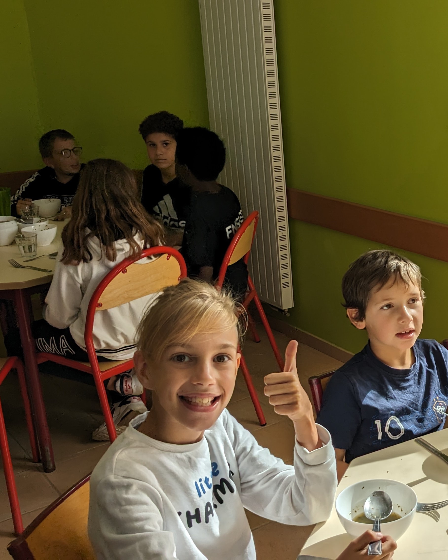 soupe à l'oseille