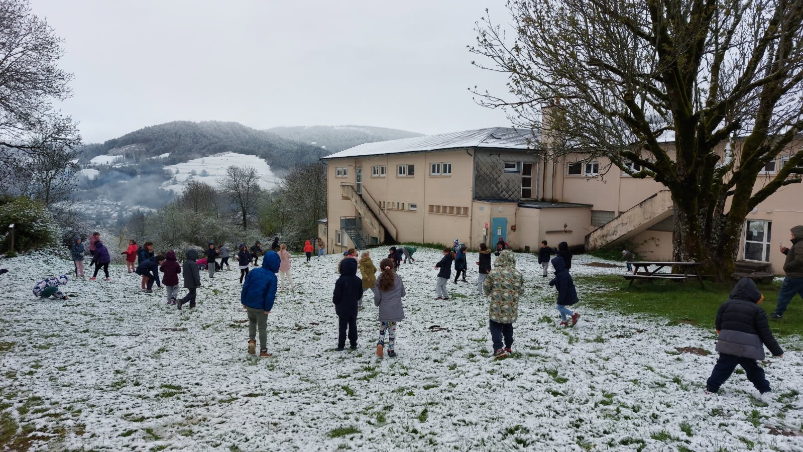 Jeux dans la neige_1.jpg