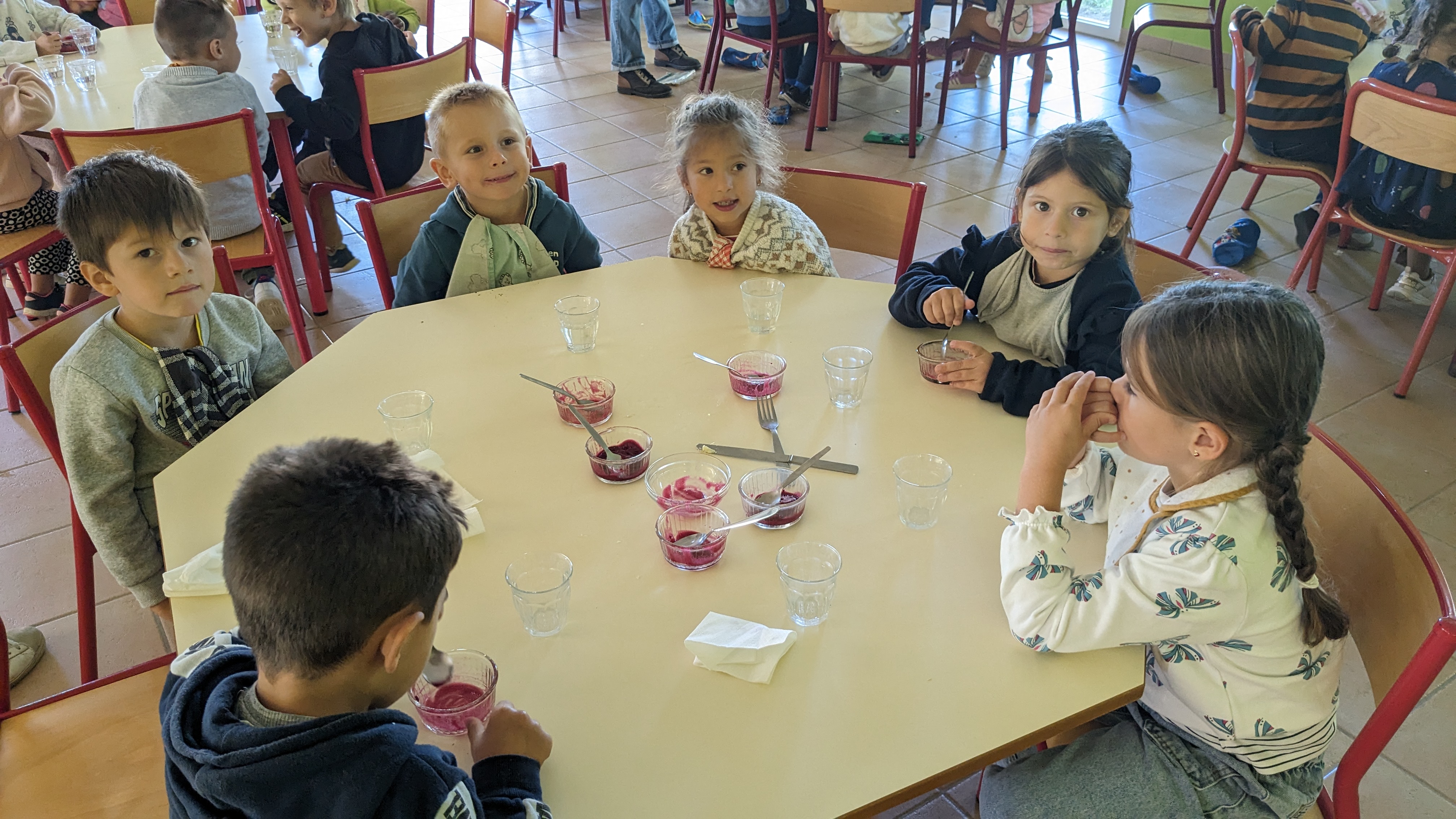 sorbet cassis
