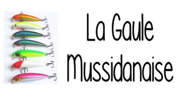 la gaule mussidanaise.jpg