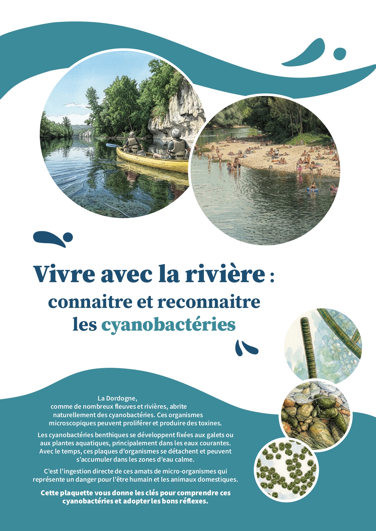 Plaquette_cyano_benthiques_page-0001.jpg