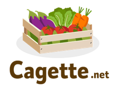 Image1.png