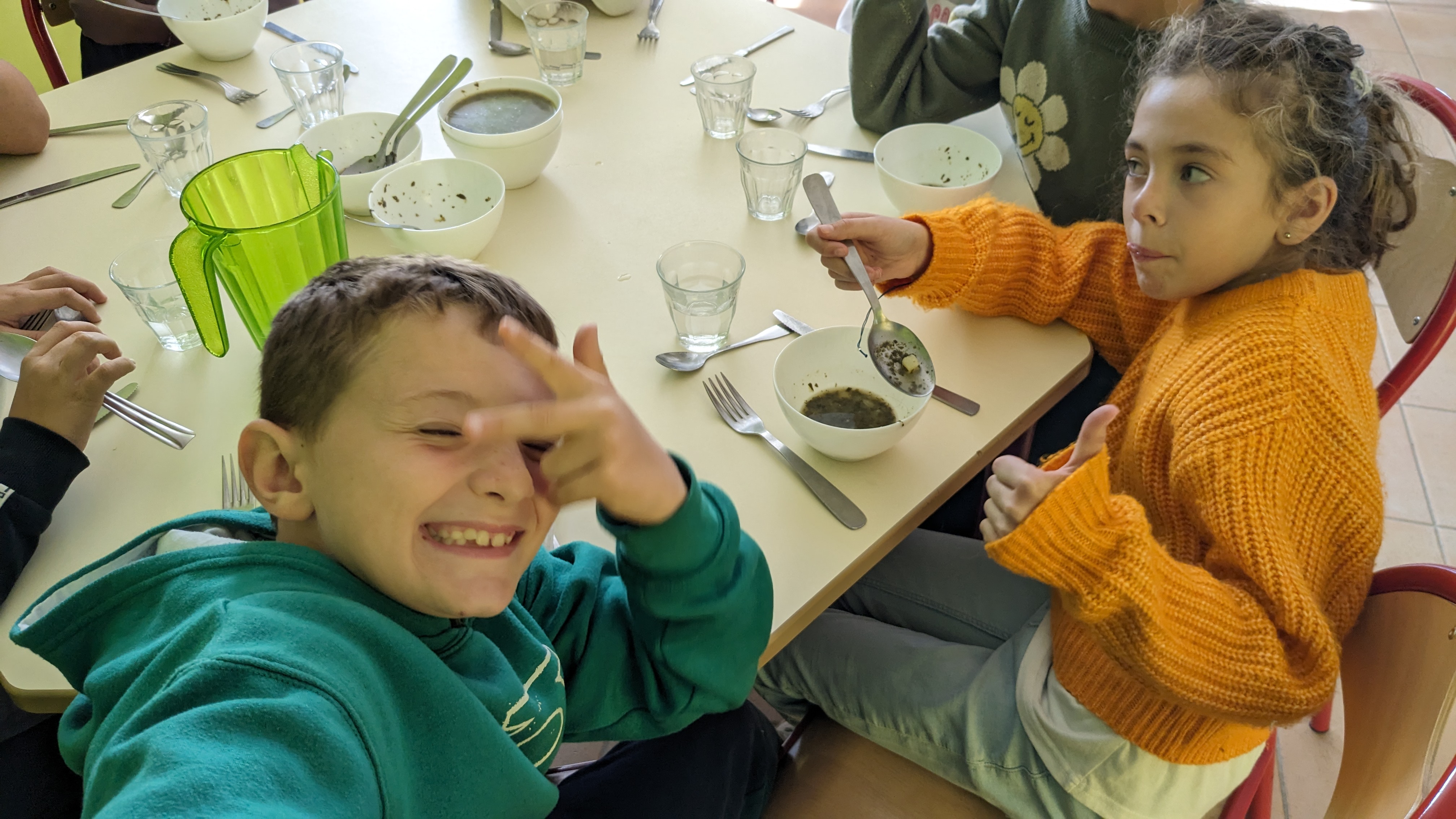 soupe à l'oseille