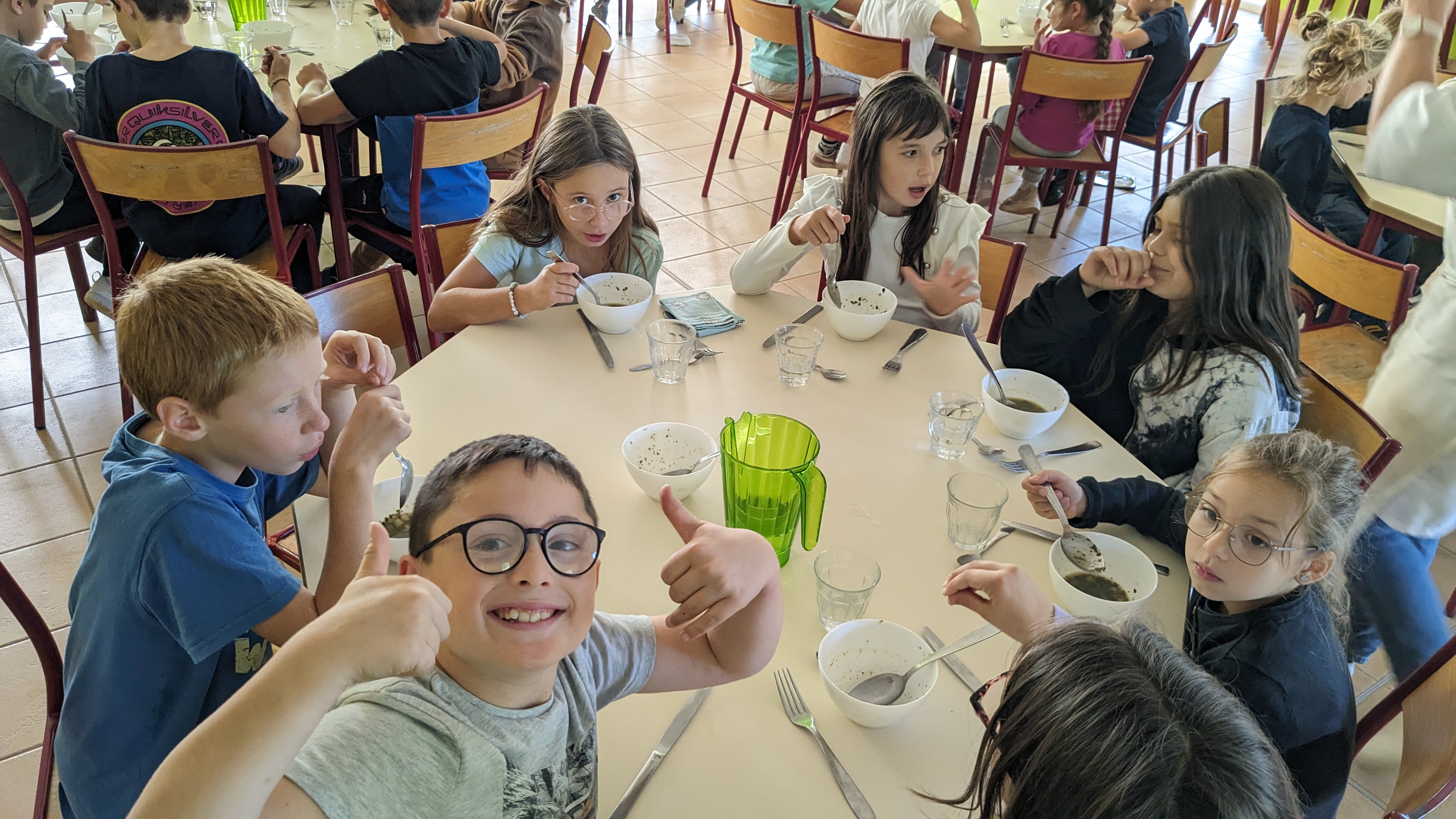 soupe à l'oseille
