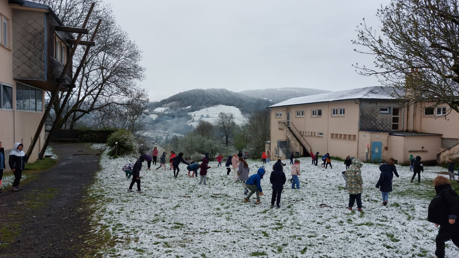 Jeux dans la neige_2.jpg