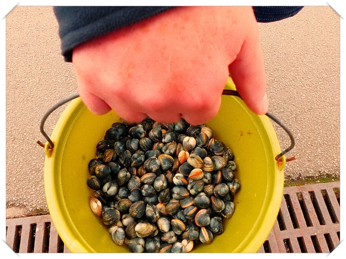 batch_Pêche à pied sept 2019 _37_.jpg