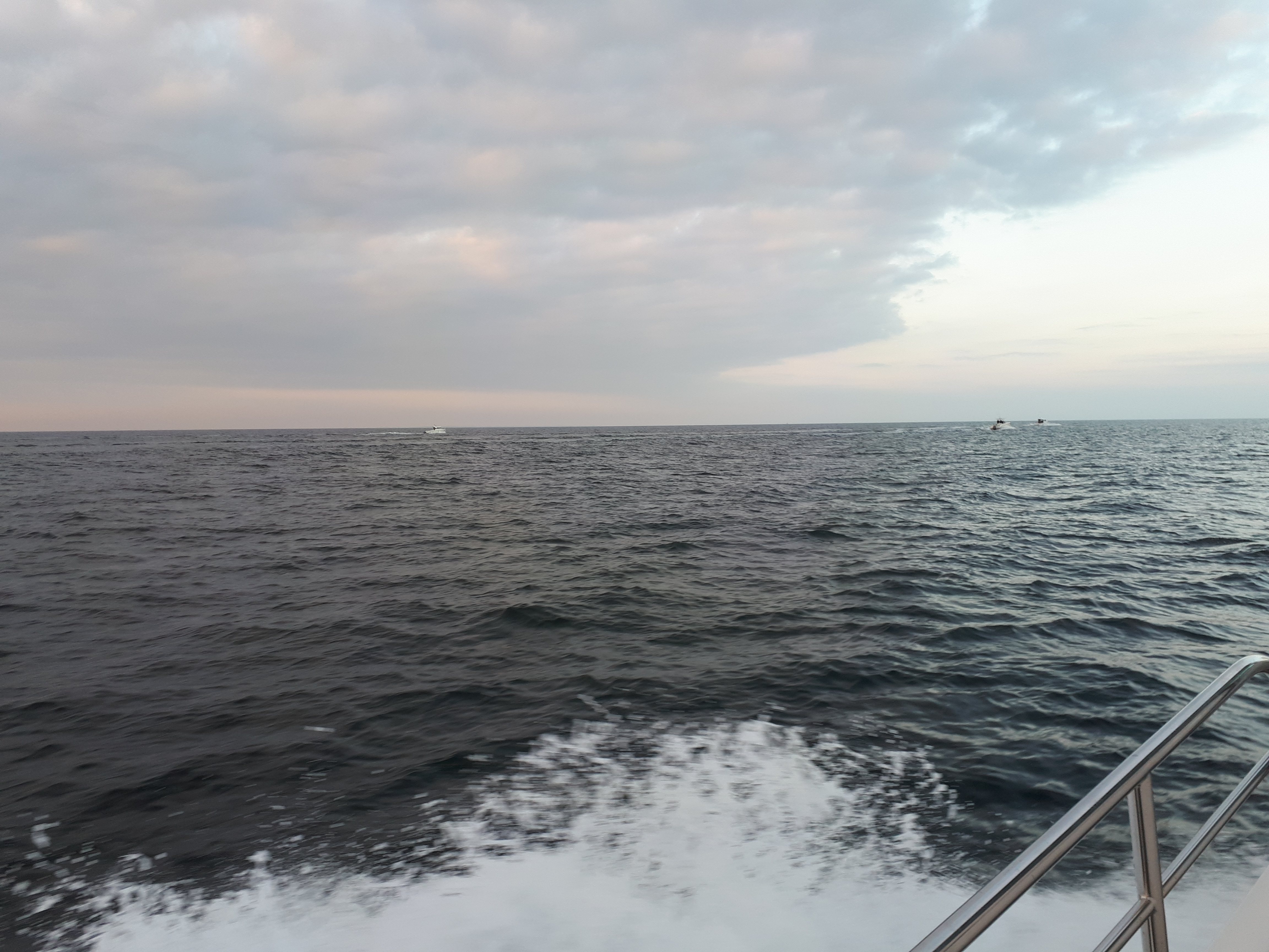 20180725_071629.jpg