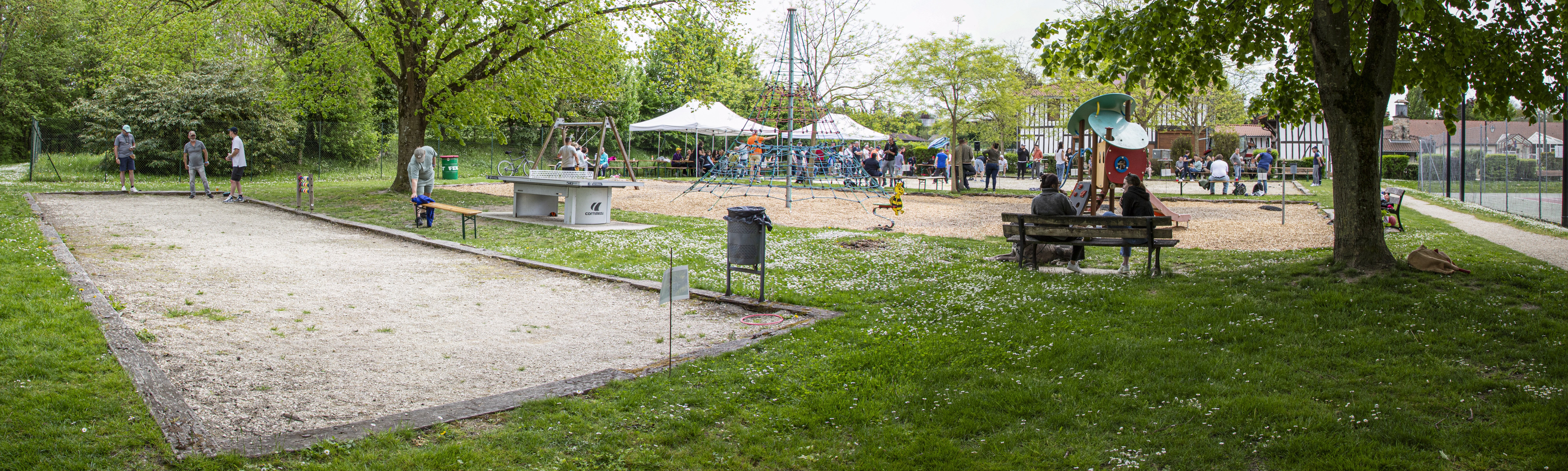 _MG_9760 Pan.jpg