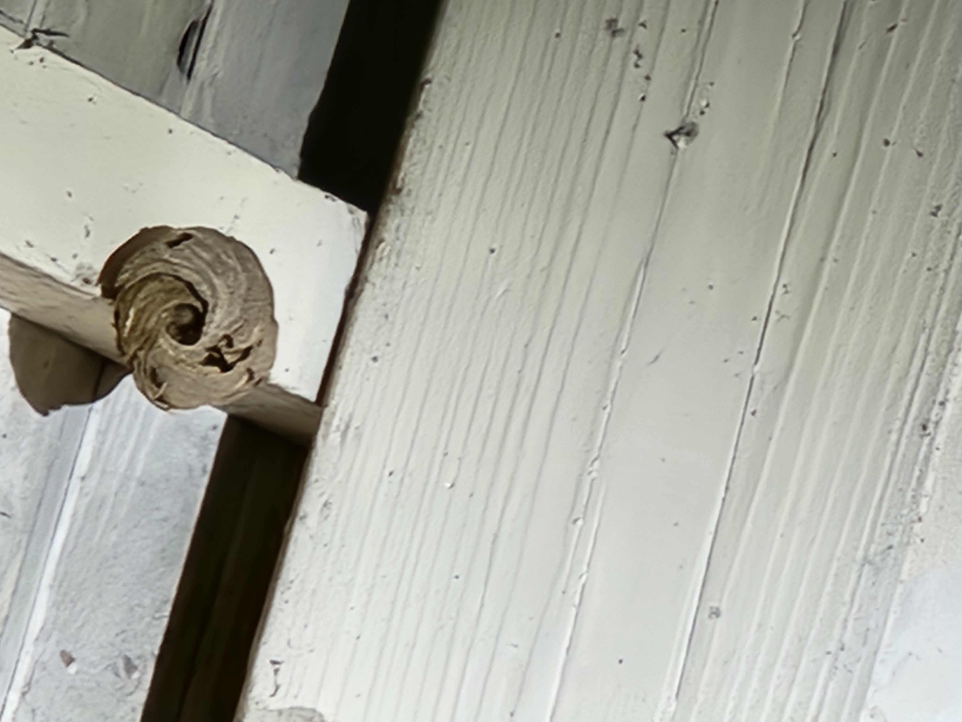 20260517 - St Hilaire - Rte de vénérieu _1_.jpg