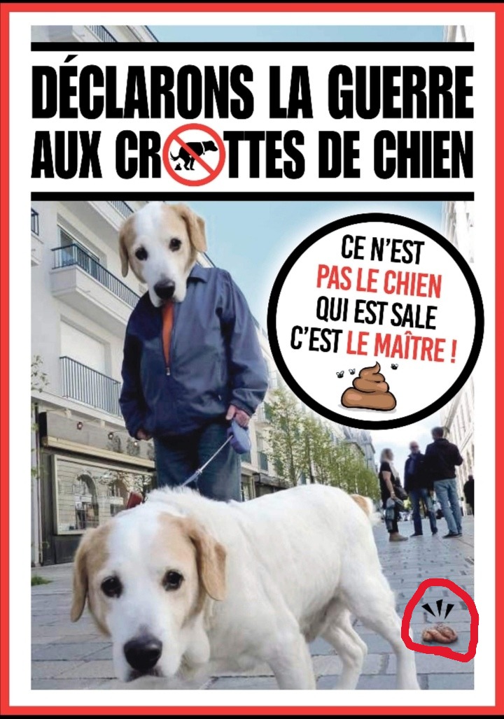 campagne-déjections-canines.jpg
