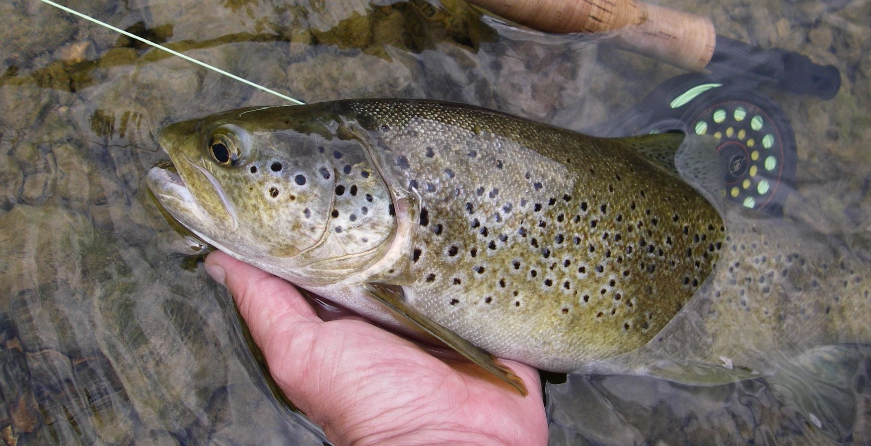 peche 3.JPG