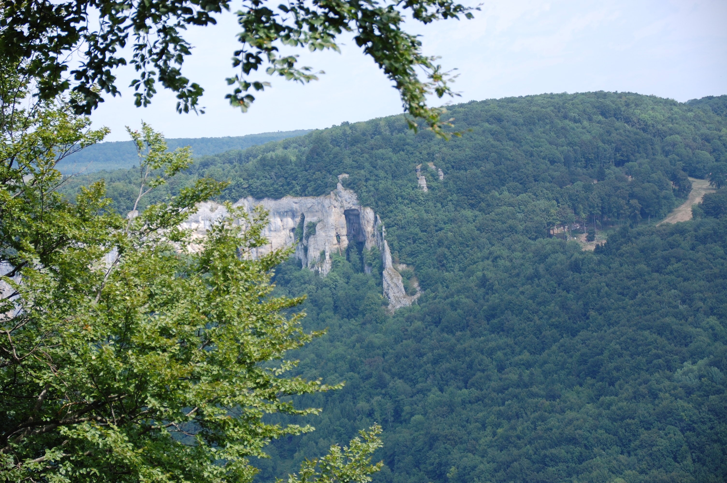 DSC_1036.JPG