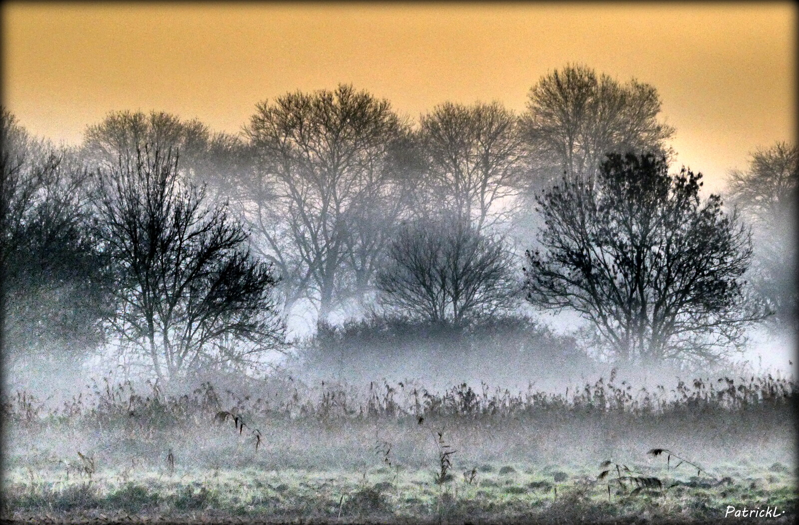 paysages-PL-06.jpeg