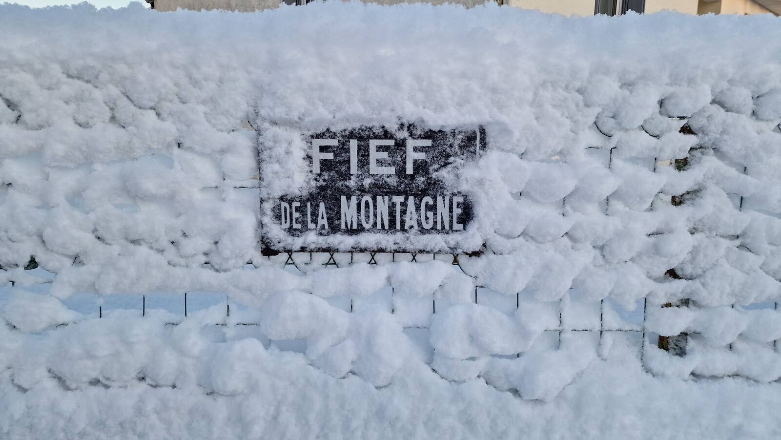 LBL17.jpeg