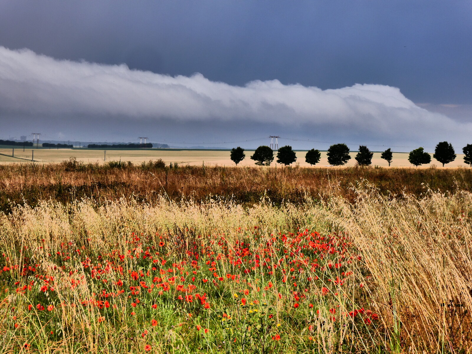 paysages-PL-10.jpeg