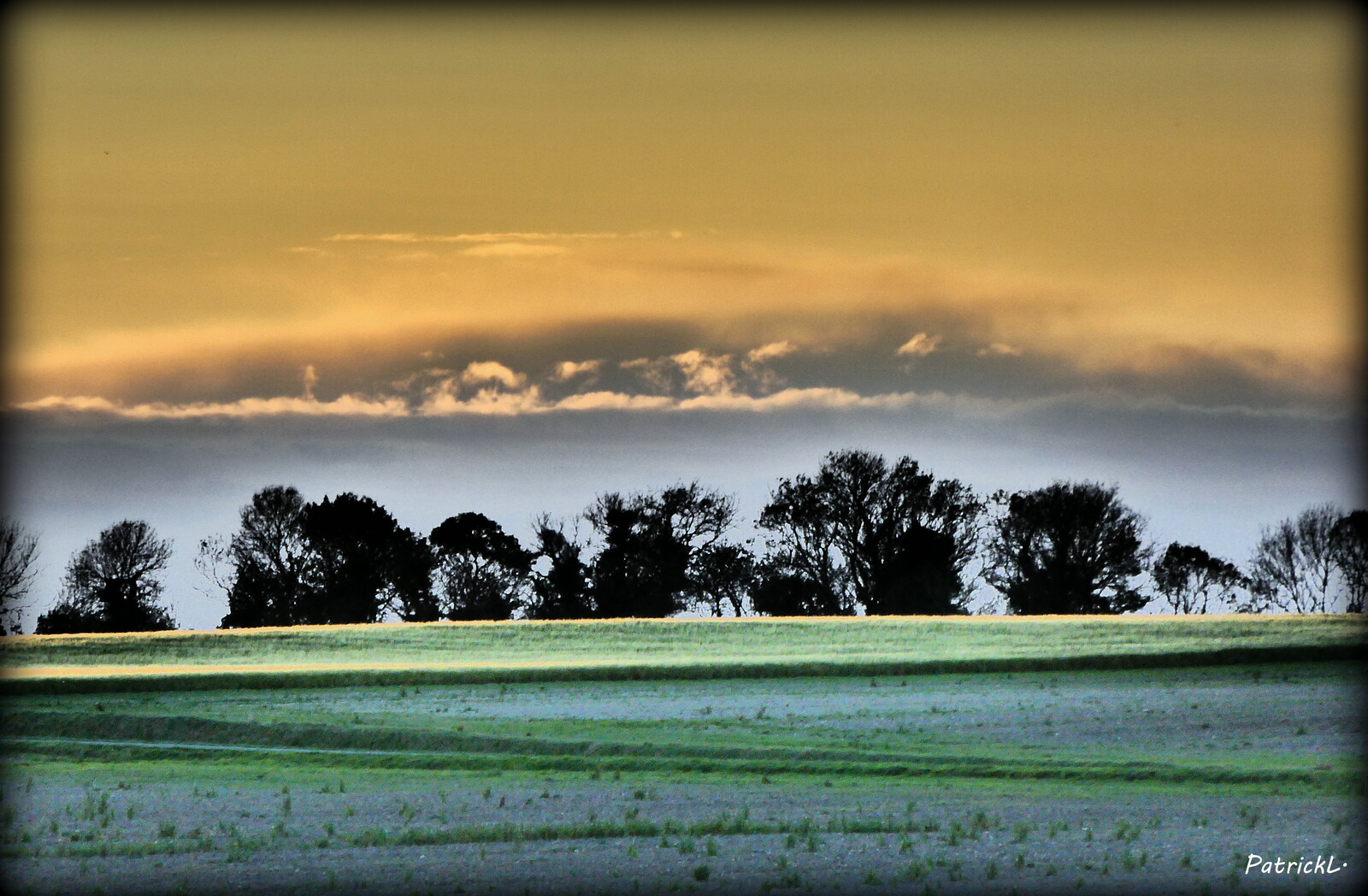 paysages-PL-03.jpeg