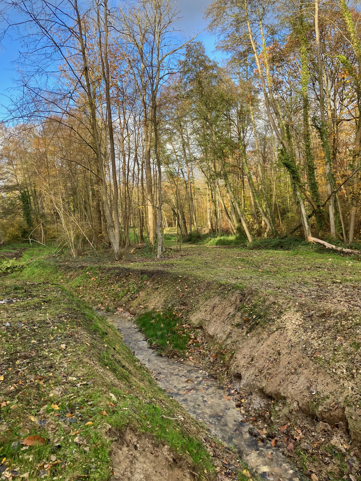 Baratage nov 2023 7.jpg