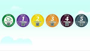 Vignettes Crit_Air.jpeg