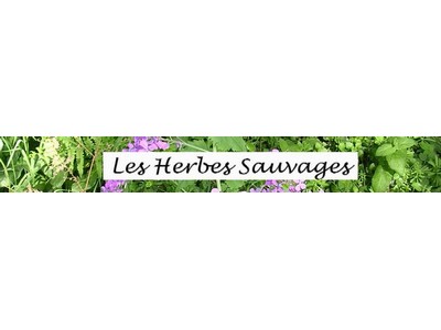 Les Herbes Sauvages.jpg
