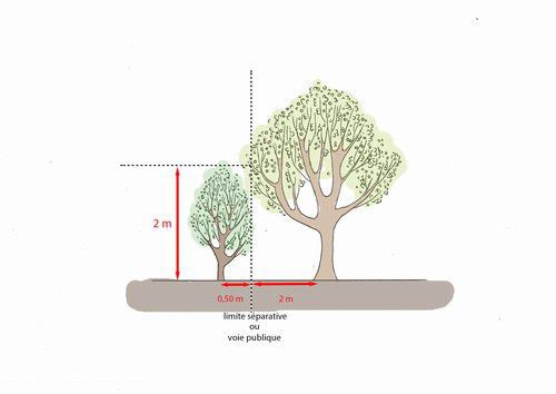 Plantations des arbres et arbustes 2.jpg