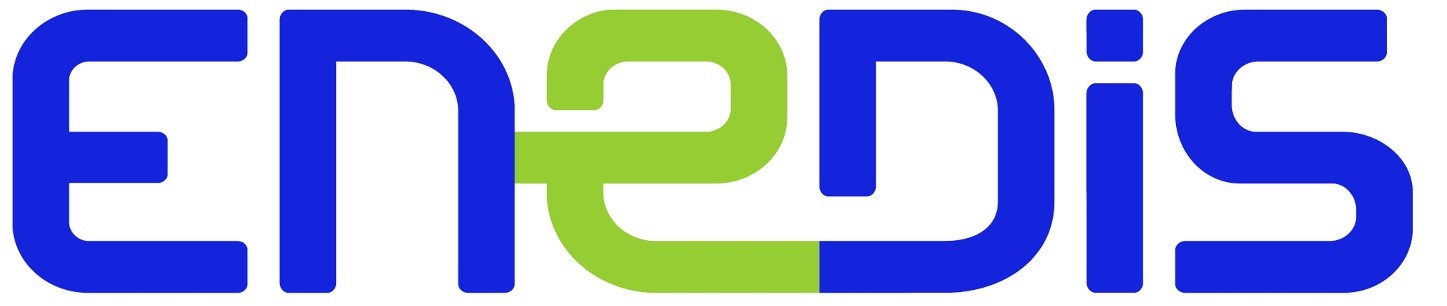ENEDIS.JPG