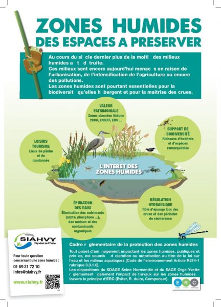 Zones Humides.jpg