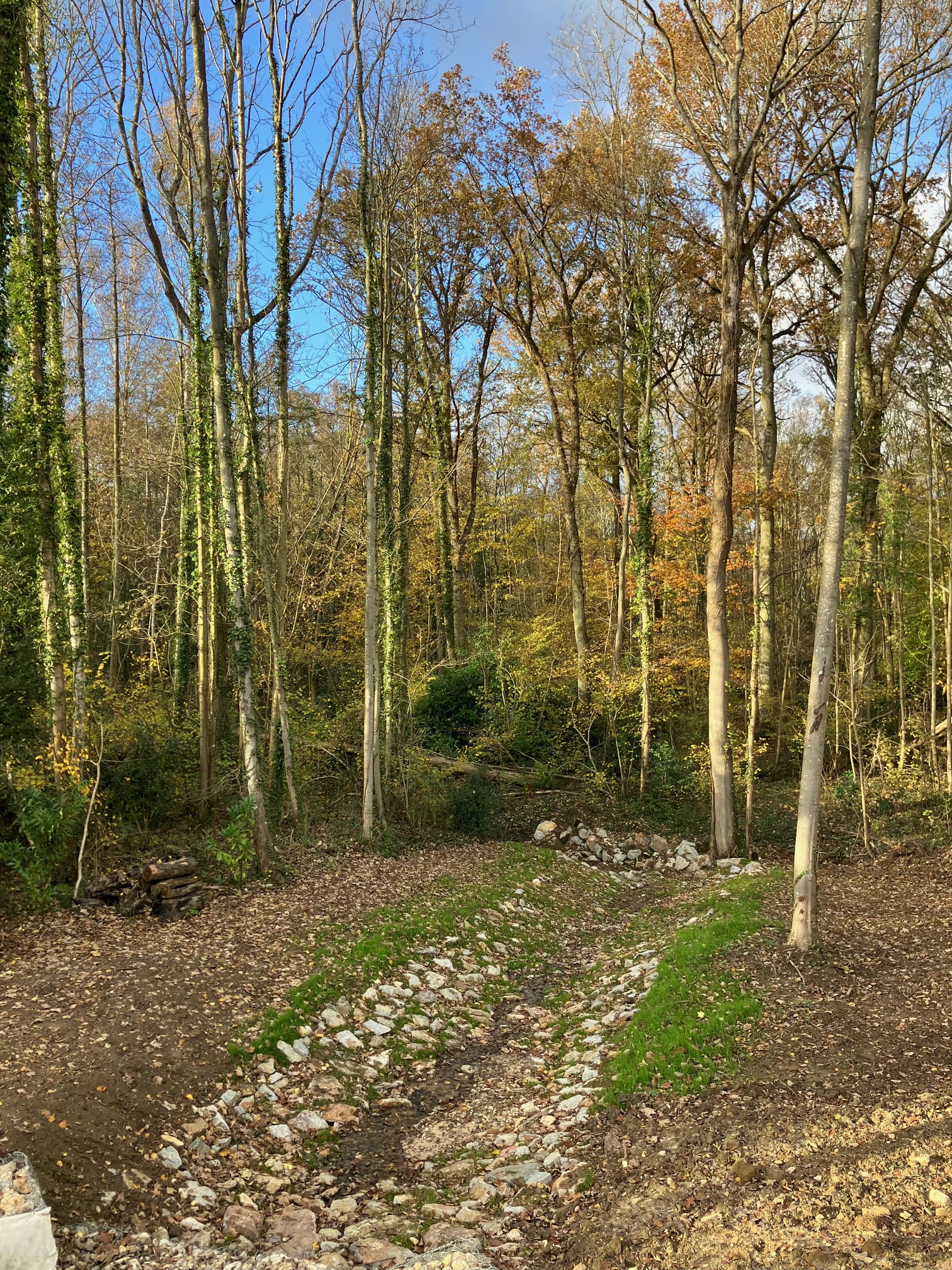 Baratage nov 2023 3.jpg