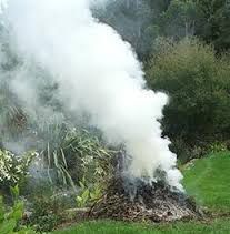 Brûlage des végétaux1.jpg
