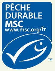 logo msc.jpg